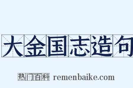 大金国志造句是什么意思的图片
